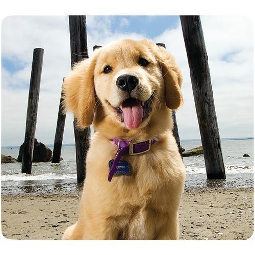 Fellowes Recycled Mouse Pad (puppy At Beach) (pack of 1 Ea)