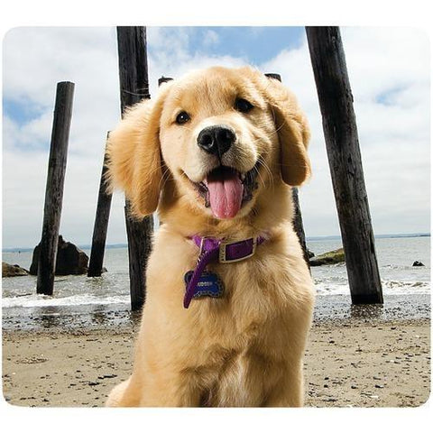 Fellowes Recycled Mouse Pad (puppy At Beach) (pack of 1 Ea)