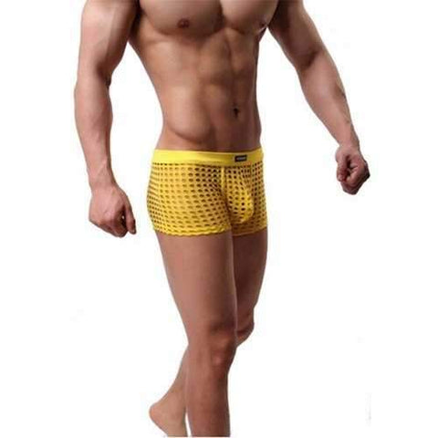 Men's Sexy Perspective Underwear Mens Breathable Boxers Multi-colors Briefs