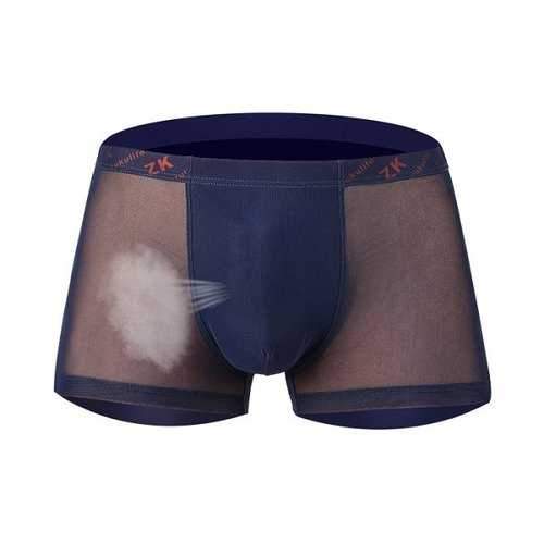 Sexy Mesh Transparent Breathable Boxers