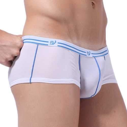 Ice Silk Thin Briefs