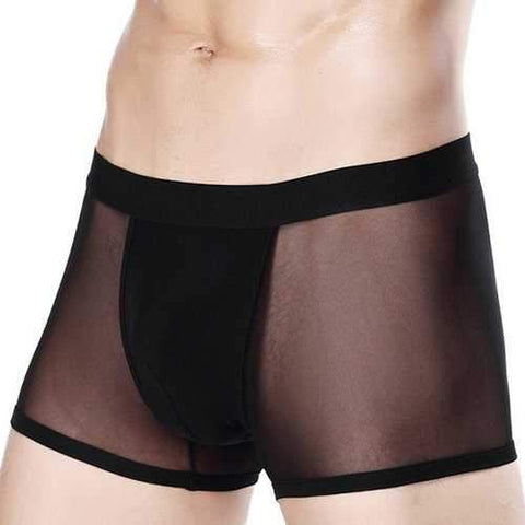 Transparent  Ice Silk Thin Boxer