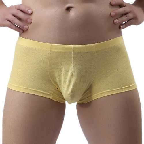 Lace U Convex Transparent Boxers