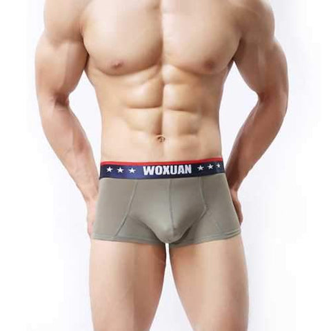 Solid Color Boxer Brief