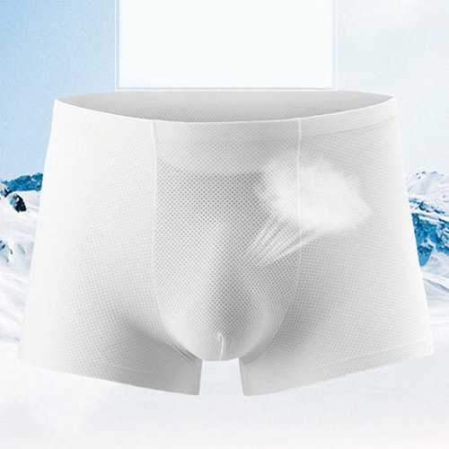 Ice Silk Mesh Boxers