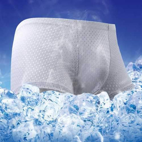 Ice Silk Mesh Breathable Underwaer