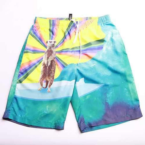 3D Printing Board Shorts