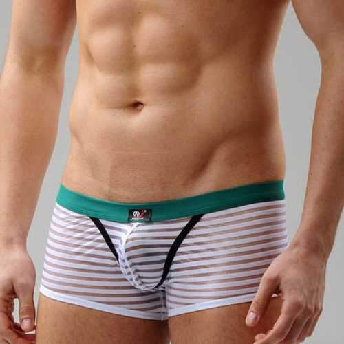 Transparent Mesh Stripe Boxers