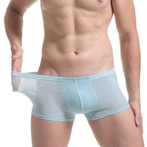 Translucent Lace Boxers