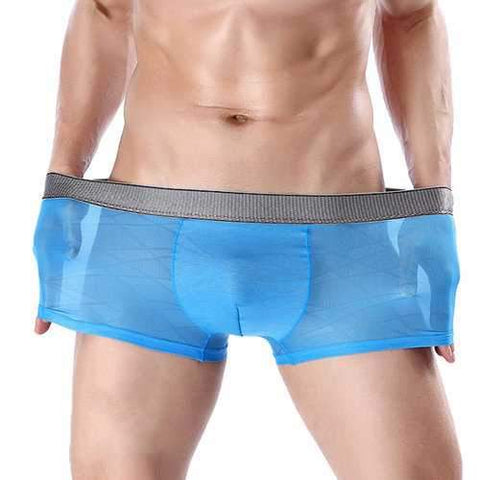 Thin Translucent Ice Silk Boxers