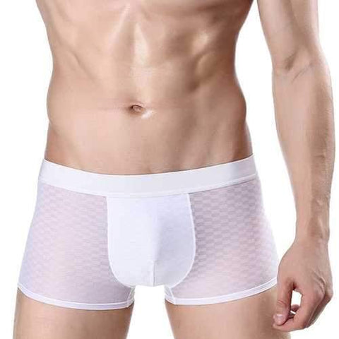 Comfy Thin Ice Silk Underwear