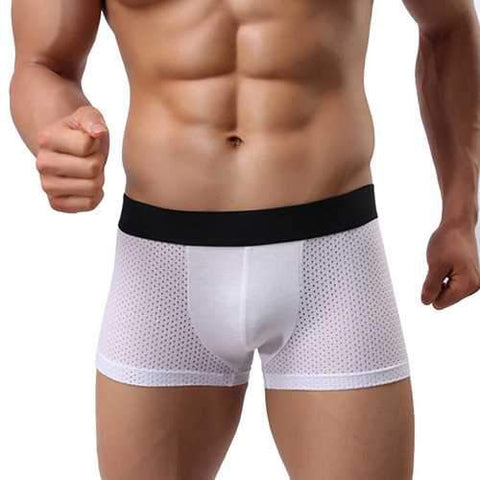 Nylon Mesh Breathable Boxers