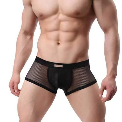 Transparent Sexy Mesh Boxers