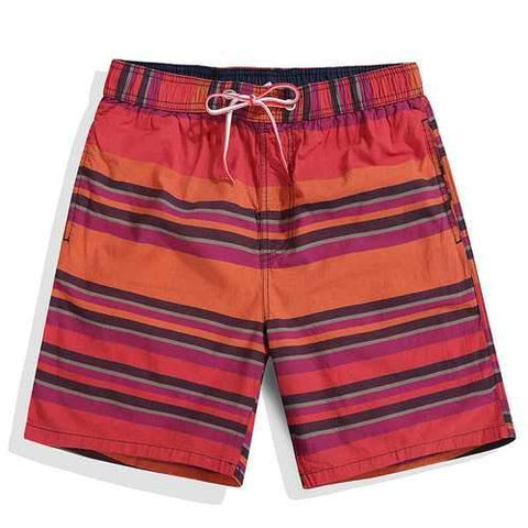 Stripes Printing Board Shorts