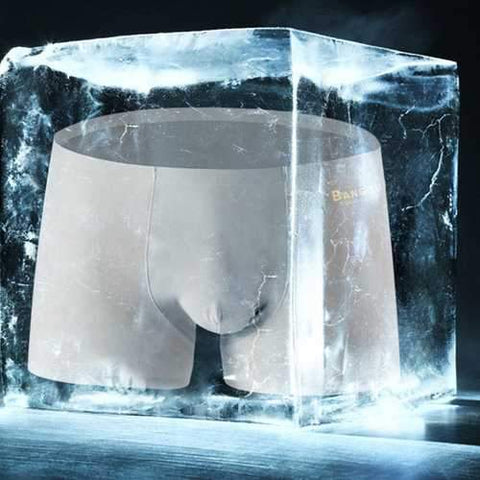 Thin Ice Silk Seamless Boxers