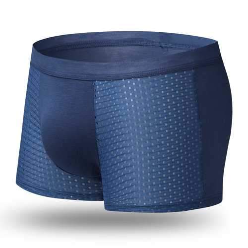 Ice Silk Mesh Nylon Boxers