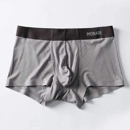 Quick Dry Water Modal Boxer Briefs