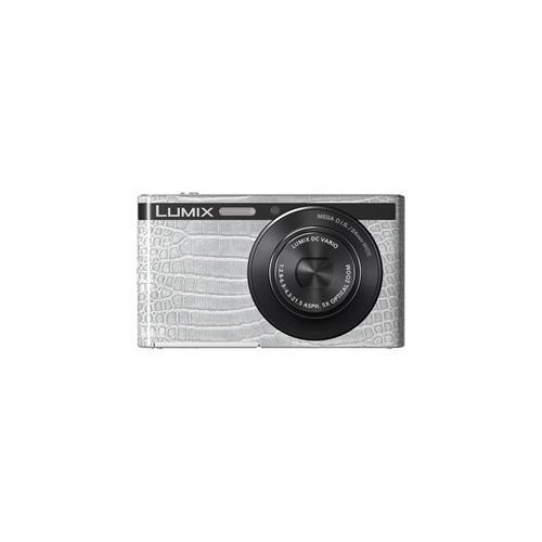 Panasonic XS1 Camera